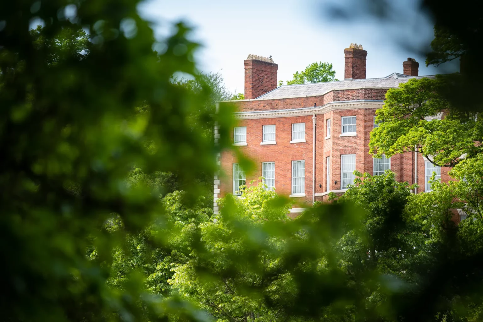 Old Palace Chester through trees